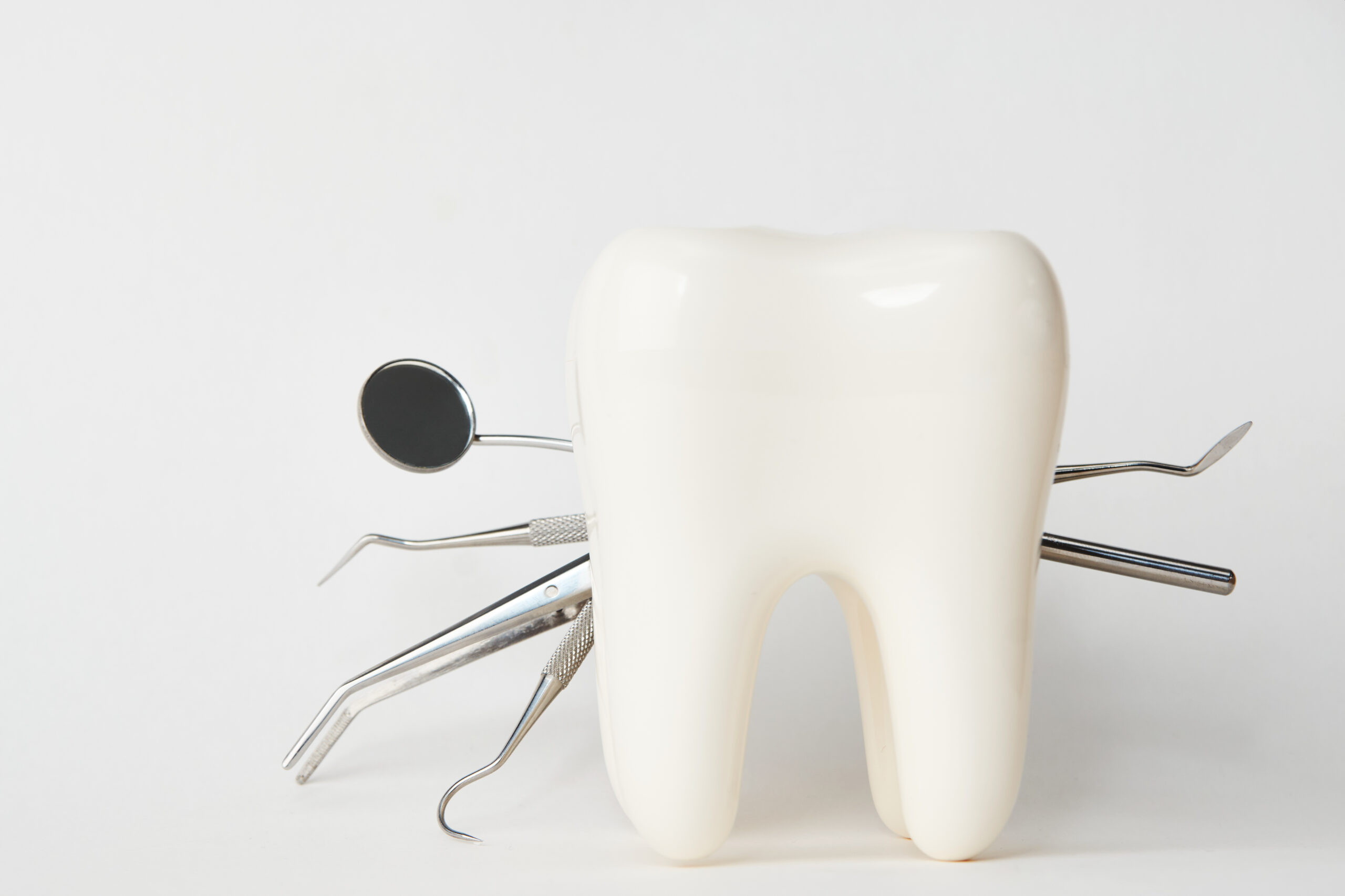 A dental tooth model with metal dentistry tools.