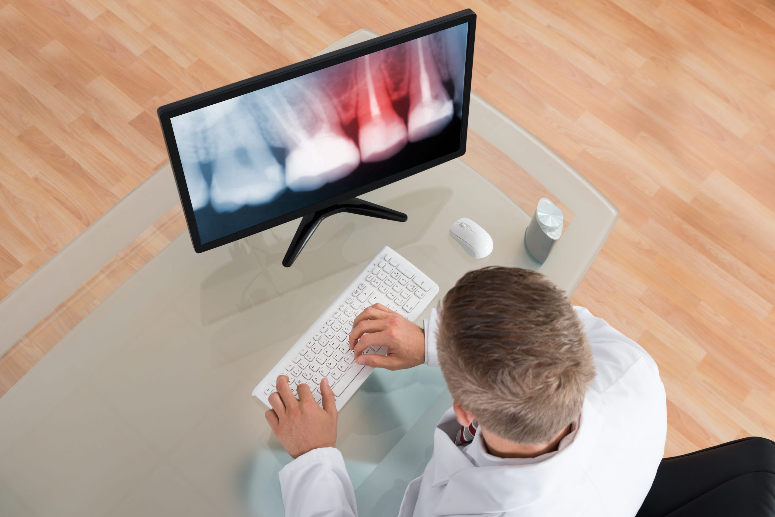 Dentist looking at x-ray on computer.
